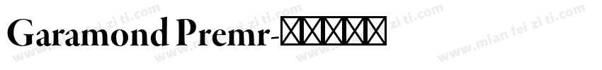 Garamond Premr字体转换